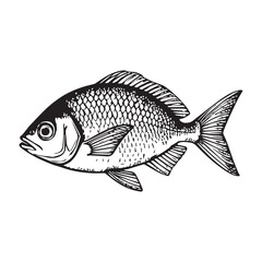 On a white background illustrate a black and white coloring book line art of a bold and easy fish swimming in water.