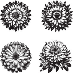 Classic Black and White Floral Silhouettes – Elegant Botanical Vector Art