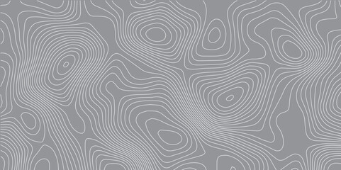 Abstract Topographic Seamless Pattern with Geometric Lines and Sea Map Design, Featuring Mounted Map Area and Grid Technology for a Modern, Clean White Background
