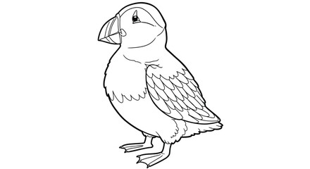 Fototapeta premium Standing Puffin Outline Illustration Featuring Cute Round Belly And Stylized Short Beak Adorable Seabird Creature