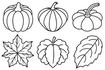 Pumpkin Leaf Line Art Creative Design for Artistic Illustration Print  