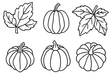 Pumpkin Leaf Line Art Detailed Drawing for Artistic Expression Artwork 