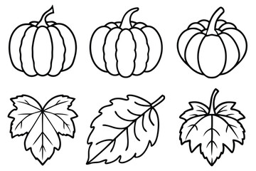 Pumpkin Leaf Line Art Detailed Drawing for Artistic Expression Artwork  