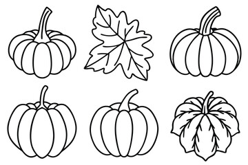 Pumpkin Leaf Line Art Elegant Sketch for Botanical Illustration Artwork  