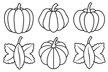 Pumpkin Leaf Line Art Elegant Sketch for Botanical Illustration Artwork 