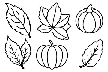 Pumpkin Leaf Line Art Unique Style for Detailed Illustration Print  