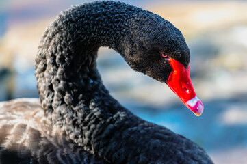 D&uuml;sseldorf Fototour