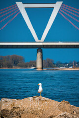 D&uuml;sseldorf Radtour