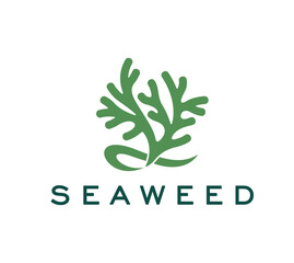 Coral seaweed icon, vector emblem with green sea algae plant for eco friendly, ocean related or sustainable business branding. Underwater aquatic tropical kelp or undersea water life, marine flora © Vector Tradition