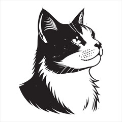 Obraz premium Cat Vector 