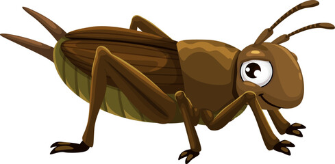 Cartoon funny cricket insect character with large expressive eyes. Playful natural bug exudes charm and a sense of mischief and fun. Isolated vector playful and funny pest personage for children books