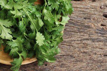 Close up of coriander spice herb