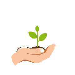 A hand carefully holding a small green plant sprout growing in soil. Symbolizes nurturing, care, protection, and support for new life and growth.