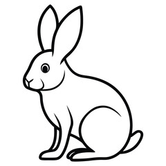 vector illustration of a rabbit with white background