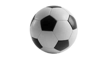 Soccer Ball: Classic Black & White