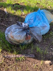 Garbage bags lie on fresh green grass. People throw their garbage into nature.