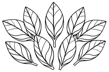 Rubber Plant Leaf Line Art Illustration for Botanical Artwork Creation  