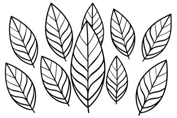 Rubber Tree Leaf Line Art Creative Design for Illustration Purpose  