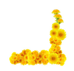 Flowers Border