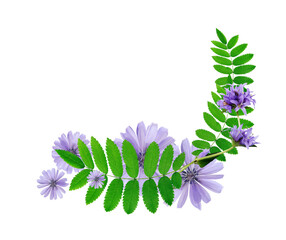 Flowers Border