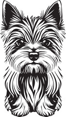 Yorkshire terrier dog. Hand drawn vector illustration	