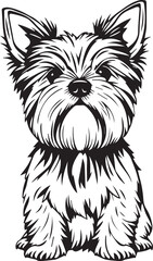 Yorkshire terrier dog. Hand drawn vector illustration	