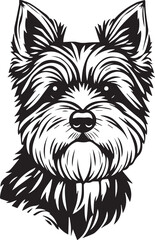 Yorkshire terrier dog. Hand drawn vector illustration	