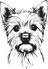 Yorkshire terrier dog. Hand drawn vector illustration	