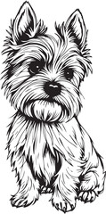 Yorkshire terrier dog. Hand drawn vector illustration	