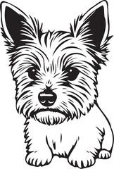 Yorkshire terrier dog. Hand drawn vector illustration	