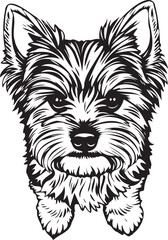 Yorkshire terrier dog. Hand drawn vector illustration	