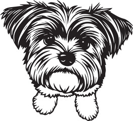 Yorkshire terrier dog. Hand drawn vector illustration	