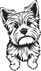 Yorkshire terrier dog. Hand drawn vector illustration	