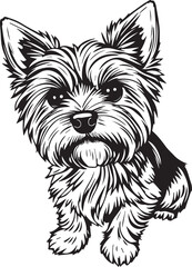 Yorkshire terrier dog. Hand drawn vector illustration	