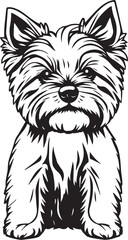 Yorkshire terrier dog. Hand drawn vector illustration	
