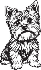 Yorkshire terrier dog. Hand drawn vector illustration	