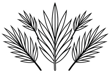 Sago Palm Leaf Line Art Unique Design for Artwork Printing  