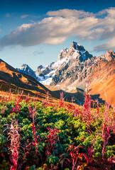Fototapeta premium Deep blue sky over the Mt. Ushba.
