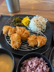 Crispy tonkatsu, a Japanese-style breaded and deep-fried pork cutlet, served with shredded cabbage and drizzled with savory sauce. A delightful balance of crunchy texture and juicy meat.