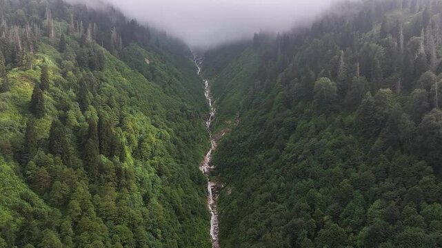 Foggy Kackar Mountains in the Fog Drone Video, Kackar Mountains Plateau Ayder, Camlihemsin Rize, Turkiye (Turkey)
