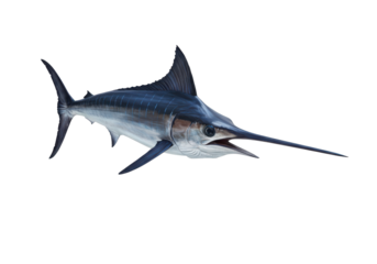 Realistic illustration of a swordfish swimming gracefully in clear waters