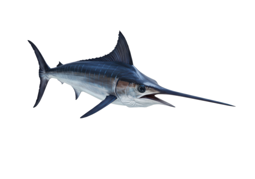 Realistic illustration of a swordfish swimming gracefully in clear waters