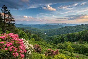 Beautiful landscapes with natural colors and harmony