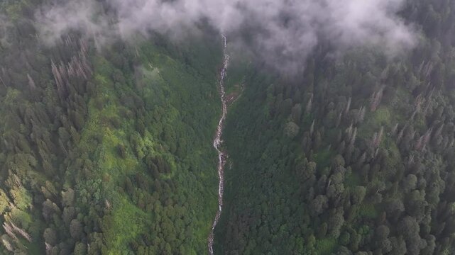 Foggy Kackar Mountains in the Fog Drone Video, Kackar Mountains Plateau Ayder, Camlihemsin Rize, Turkiye (Turkey)