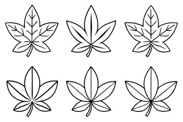 Sassafras Leaf Line Art Elegant Illustration for Botanical Art Design  