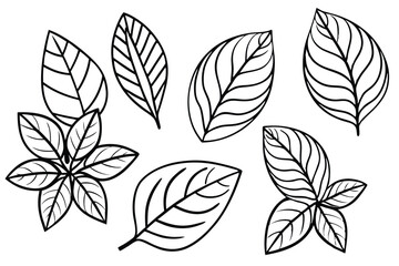 Schefflera Leaf Line Art Simple Artistic Representation for Design 