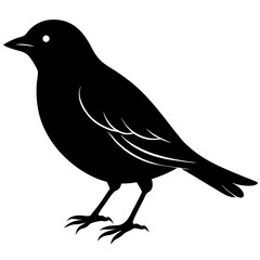 Bird Vector Silhouette | Flying and Nature Clipart