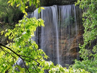 waterfall in the forest
