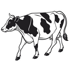 Fototapeta premium black and white cow