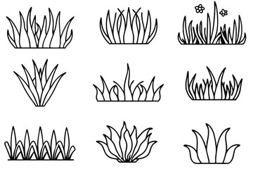 Seagrass Beds Line Art Illustration Creating Natural Oceanic Beauty  